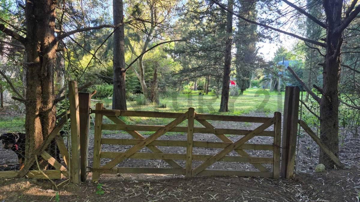 Foto de LOTE BARRIO EL RINCÓN - DIAG. 430 ENTRE 134 Y 135, imagen 4