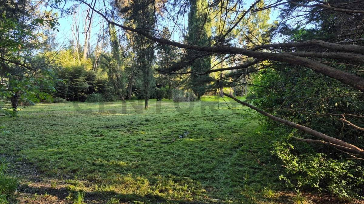 Foto de LOTE BARRIO EL RINCÓN - DIAG. 430 ENTRE 134 Y 135, imagen 3