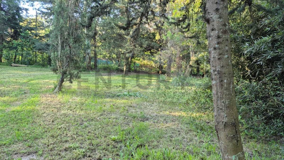 Foto de LOTE BARRIO EL RINCÓN - DIAG. 430 ENTRE 134 Y 135, imagen 4