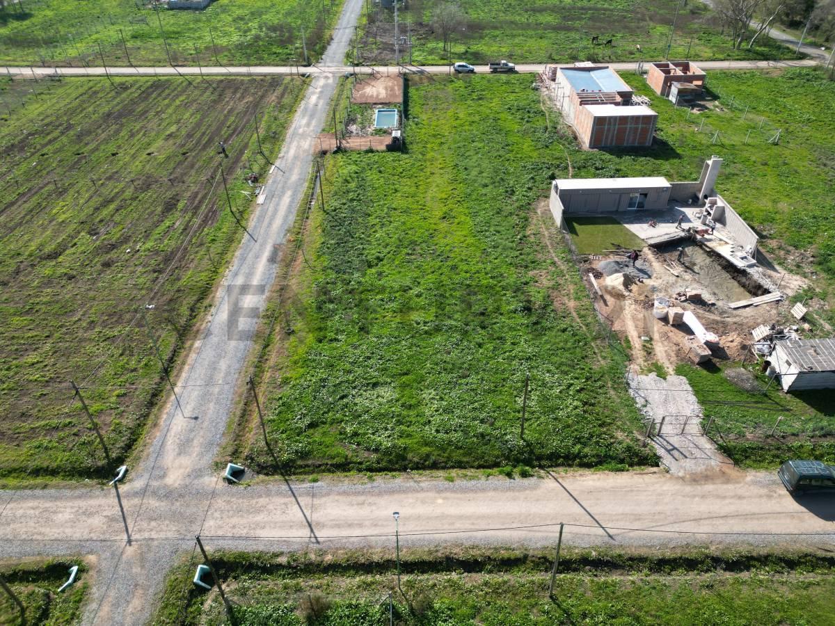 Foto de VENTA LOTE EN ESQ 18BIS Y 651, SICARDI, imagen 4