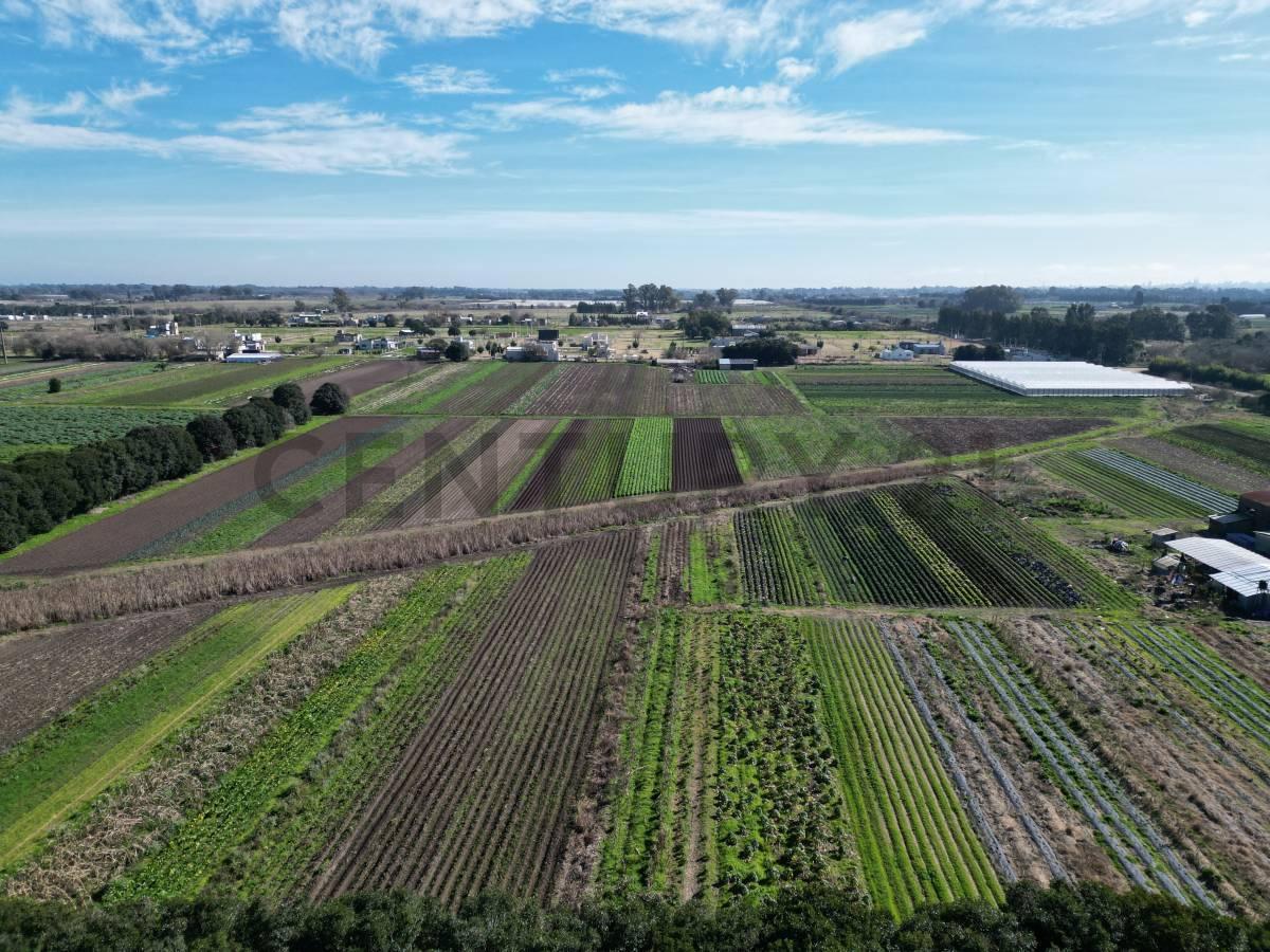 Foto de 143 & 621 Arana VENTA DE PARCELA, imagen 3