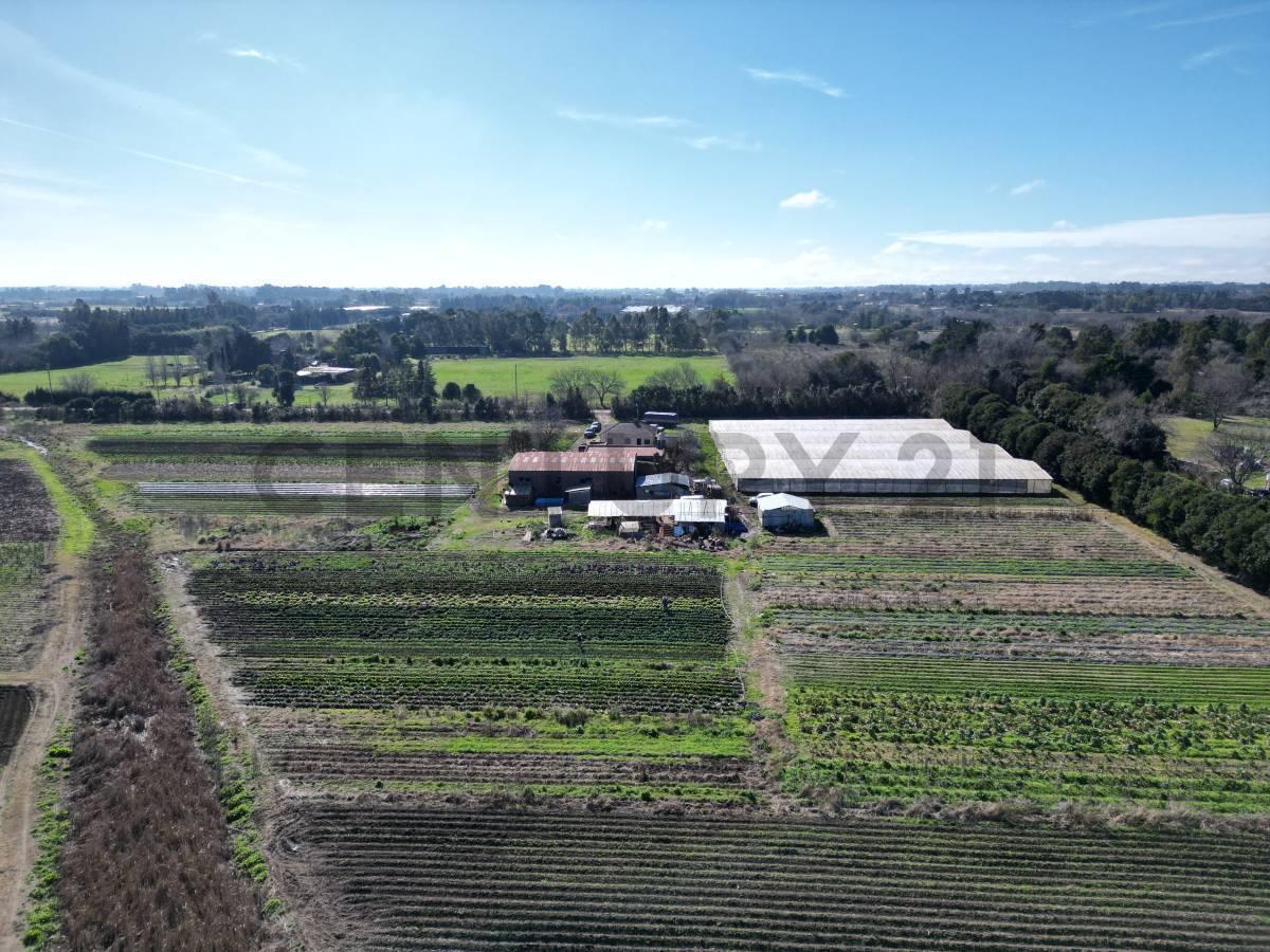 Foto de 143 & 621 Arana VENTA DE PARCELA, imagen 4