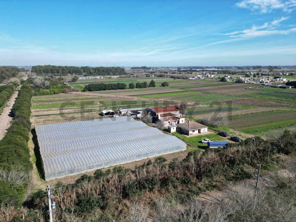 Foto de 143 & 621 Arana VENTA DE PARCELA, imagen 1