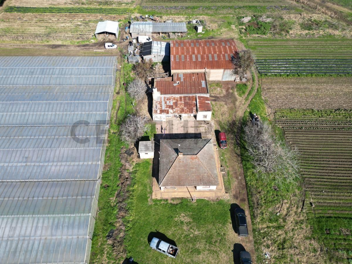 Foto de 143 & 621 Arana VENTA DE PARCELA, imagen 5