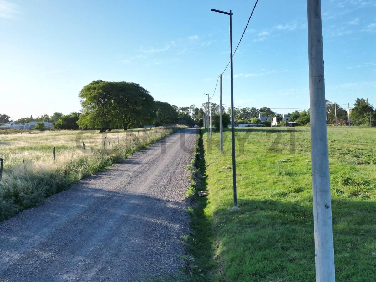 Foto de Oportunidad lote 300 m2 - Calle 660 y 14, imagen 3