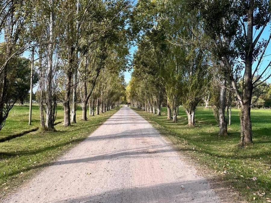 Foto de Lotes en BARRIO MALVINAS II CLUB DE CHACRAS. BRANDSEN, imagen 5