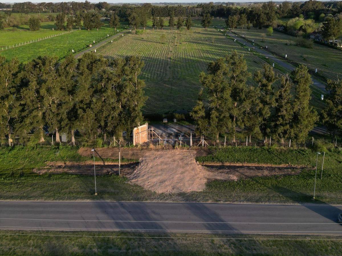 Foto de LOTES EN VENTA, LOS PINARES, ARANA 637 Y 31, imagen 4