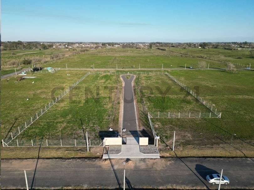 Foto de Lote en Sendero, imagen 3