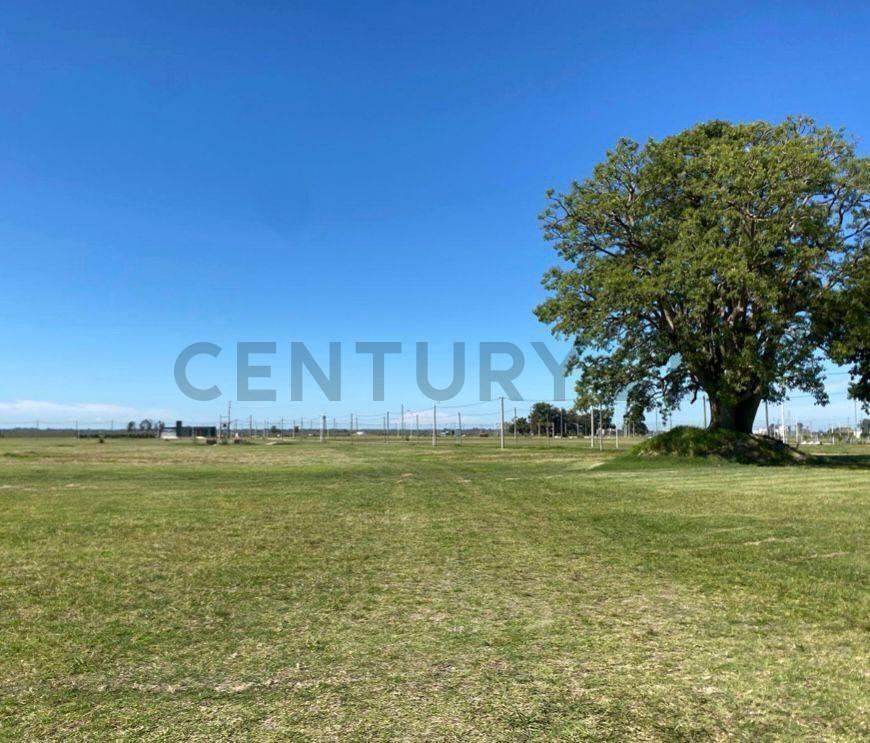 Foto de Venta de Lotes en Fincas La Soñada, imagen 4