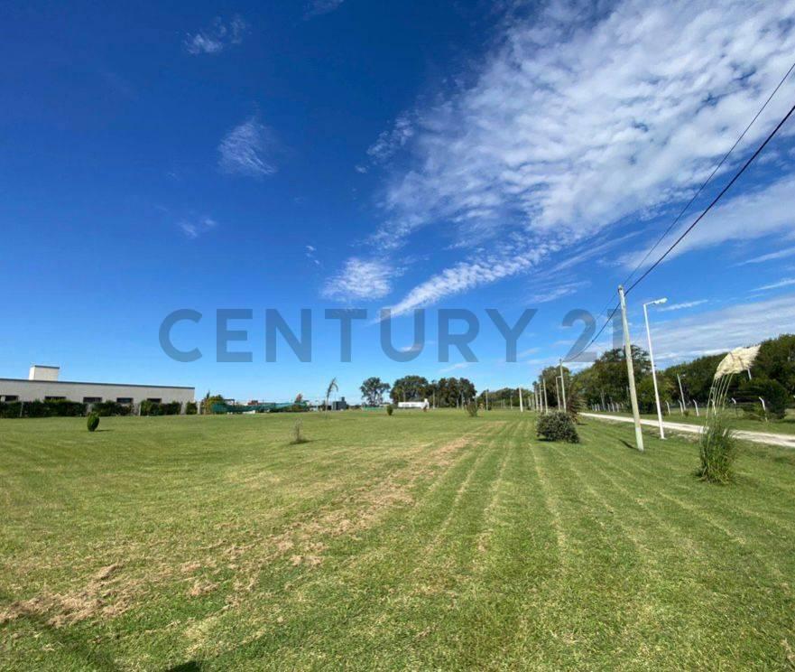 Foto de Venta de Lotes en Fincas La Soñada, imagen 3