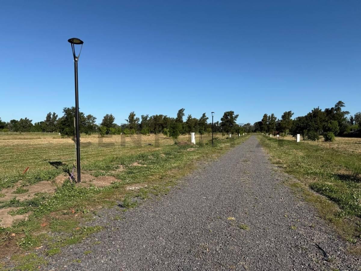 Foto de LOTES EN VENTA, LOS PINARES, ARANA 637 Y 31, imagen 4
