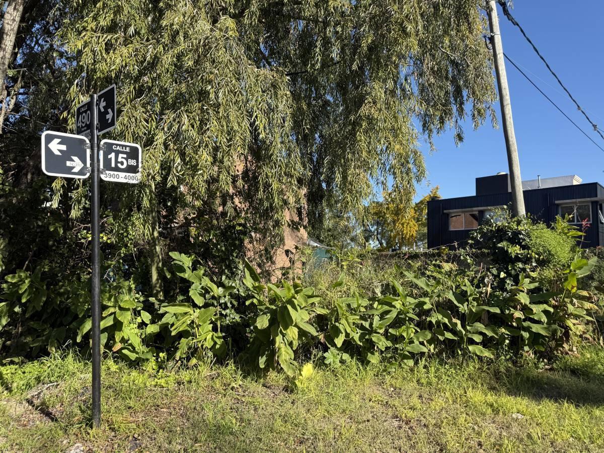 Foto de Terreno en Venta 15bis y 490, imagen 2