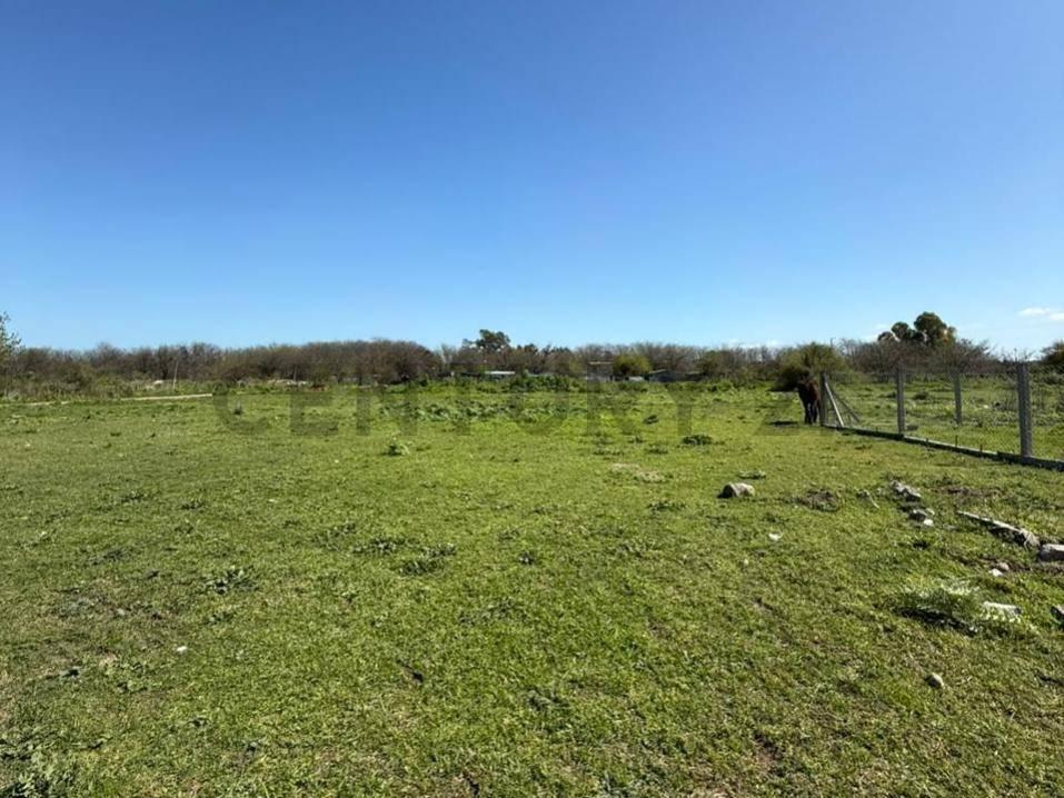 Foto de Loteo en venta - Calle 526 y 147 | San carlos - La plata, imagen 2
