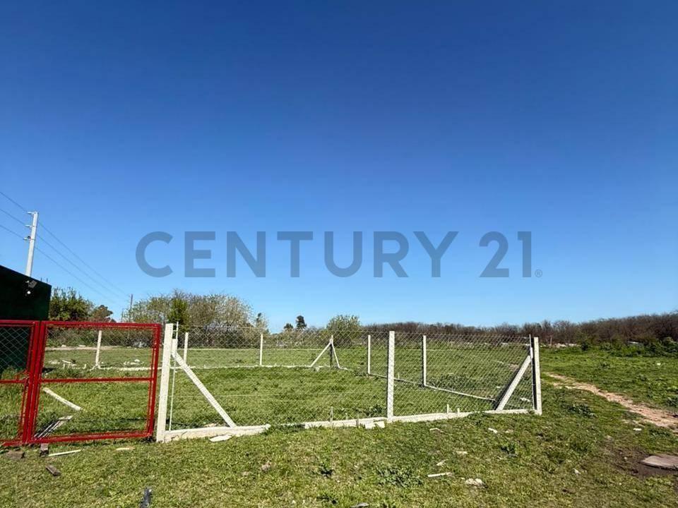 Foto de Loteo en venta - Calle 526 y 147 | San carlos - La plata, imagen 3