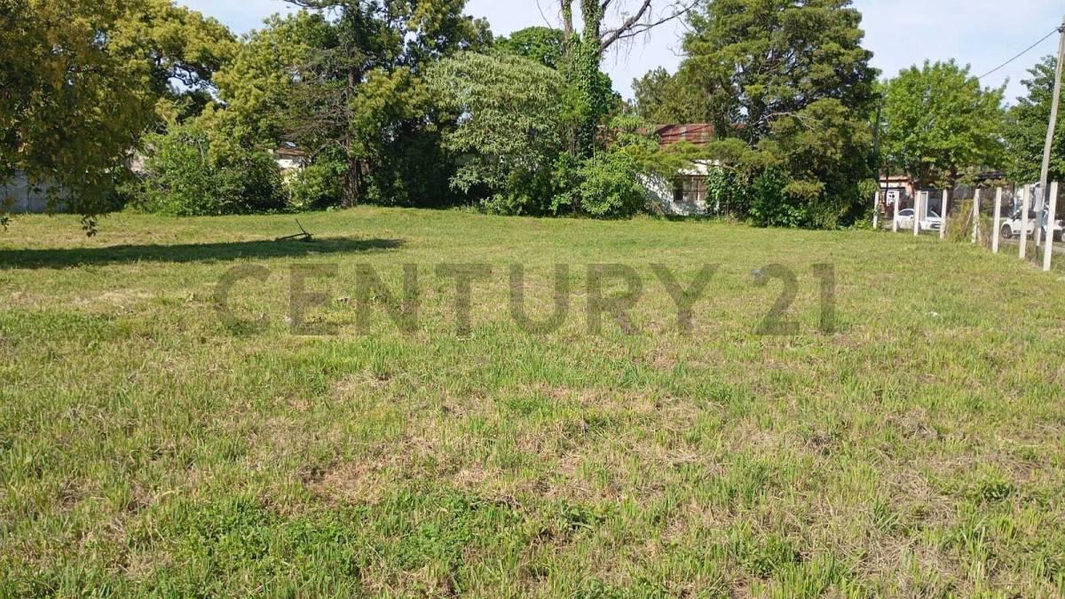 Foto de Lote en venta en Berisso | calle 37 e/ 126 y 127 | Berisso, imagen 4
