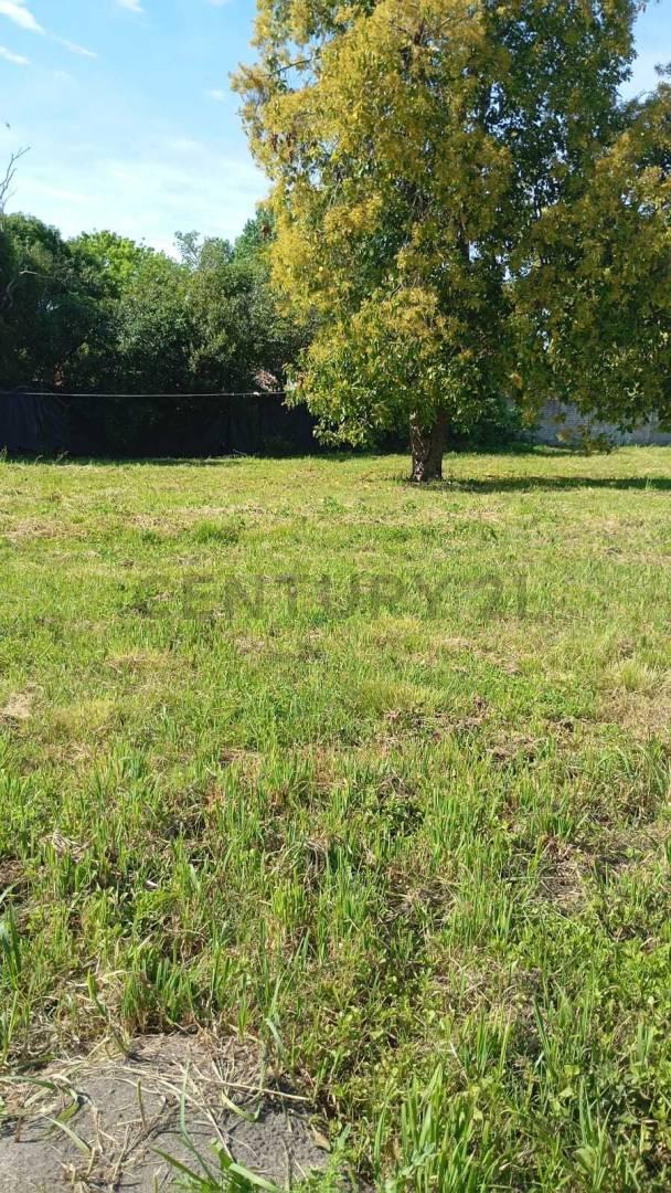 Foto de Lote en Venta Berisso | Calle 37 e/ 126 y 127, imagen 4