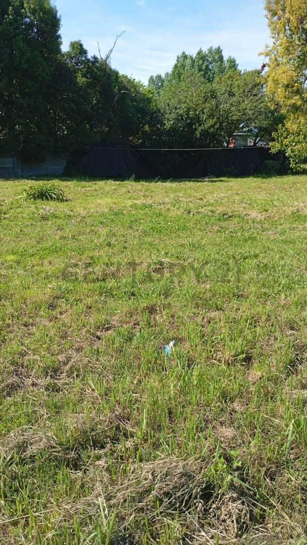 Foto de Lote en Venta Berisso | Calle 37 e/ 126 y 127, imagen 3