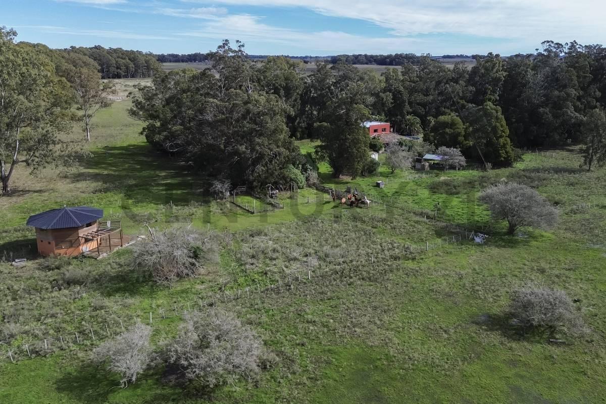 Foto de CASA DE CAMPO EN VENTA EN PUNTA INDIO CON 7 HECTAREAS, imagen 5