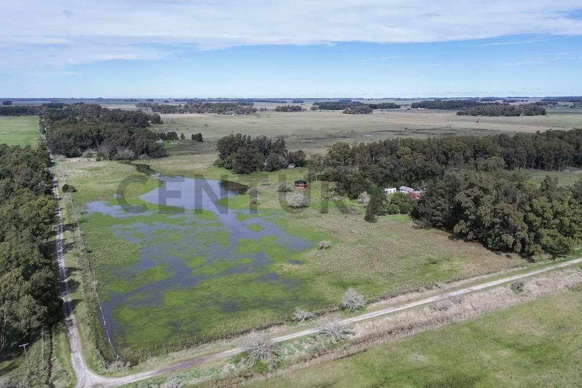 Foto de CASA DE CAMPO EN VENTA EN PUNTA INDIO CON 7 HECTAREAS, imagen 2