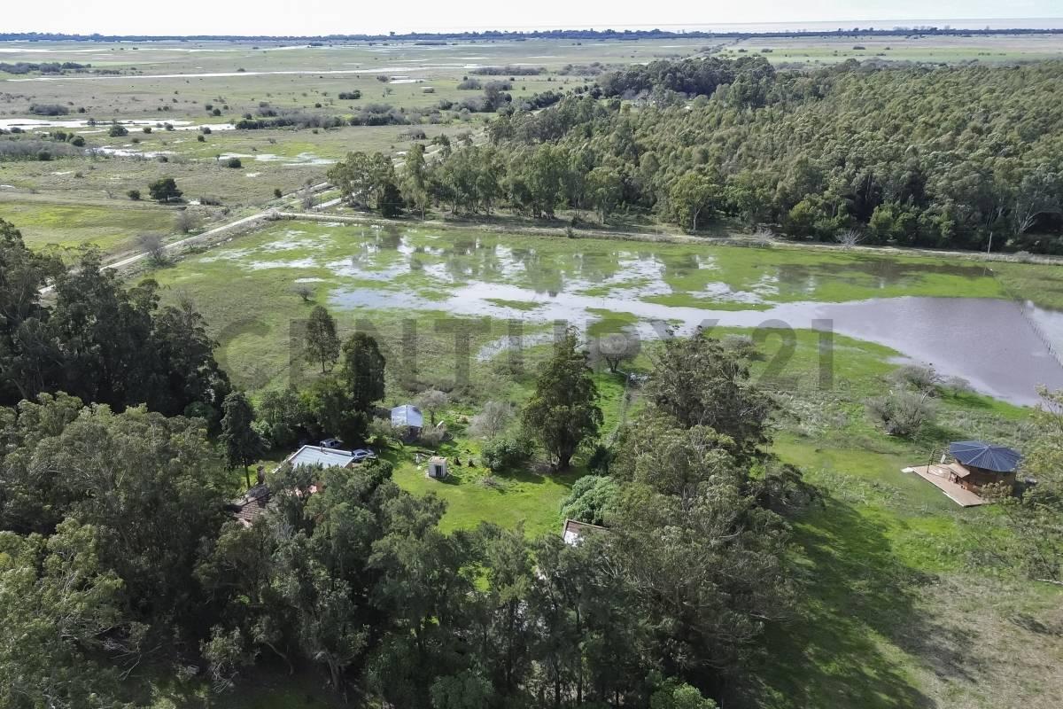 Foto de CASA DE CAMPO EN VENTA EN PUNTA INDIO CON 7 HECTAREAS, imagen 4