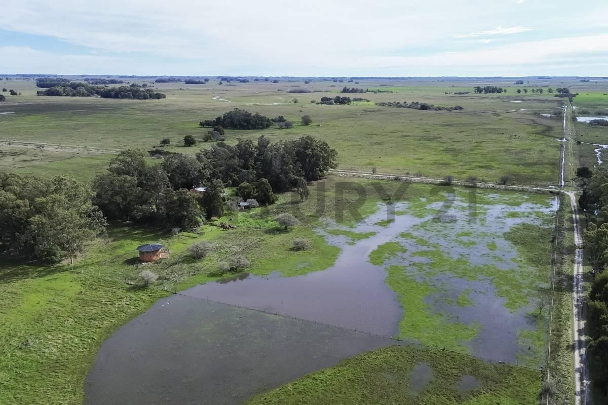Foto de CASA DE CAMPO EN VENTA EN PUNTA INDIO CON 7 HECTAREAS, imagen 1