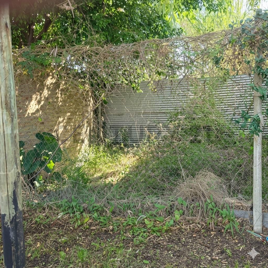 Foto de LOTE EN VENTA EN RINGUELET, imagen 2