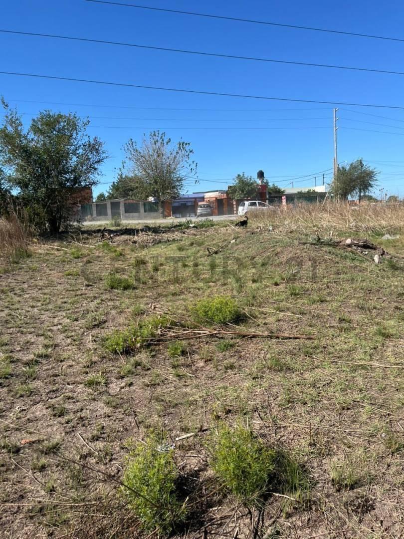 Foto de VENTA DE LOTE EN 179BIS Y 528, imagen 5