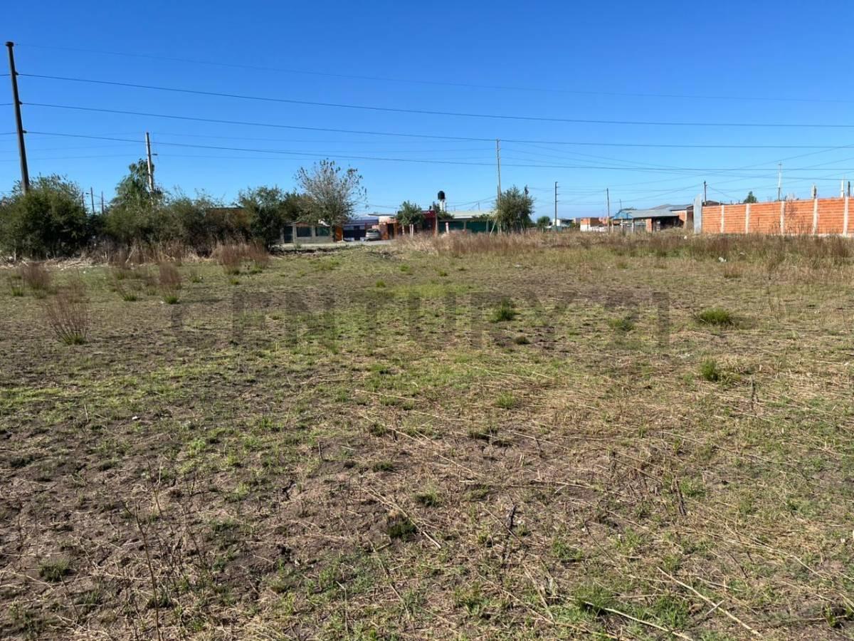 Foto de VENTA DE LOTE EN 179BIS Y 528, imagen 3