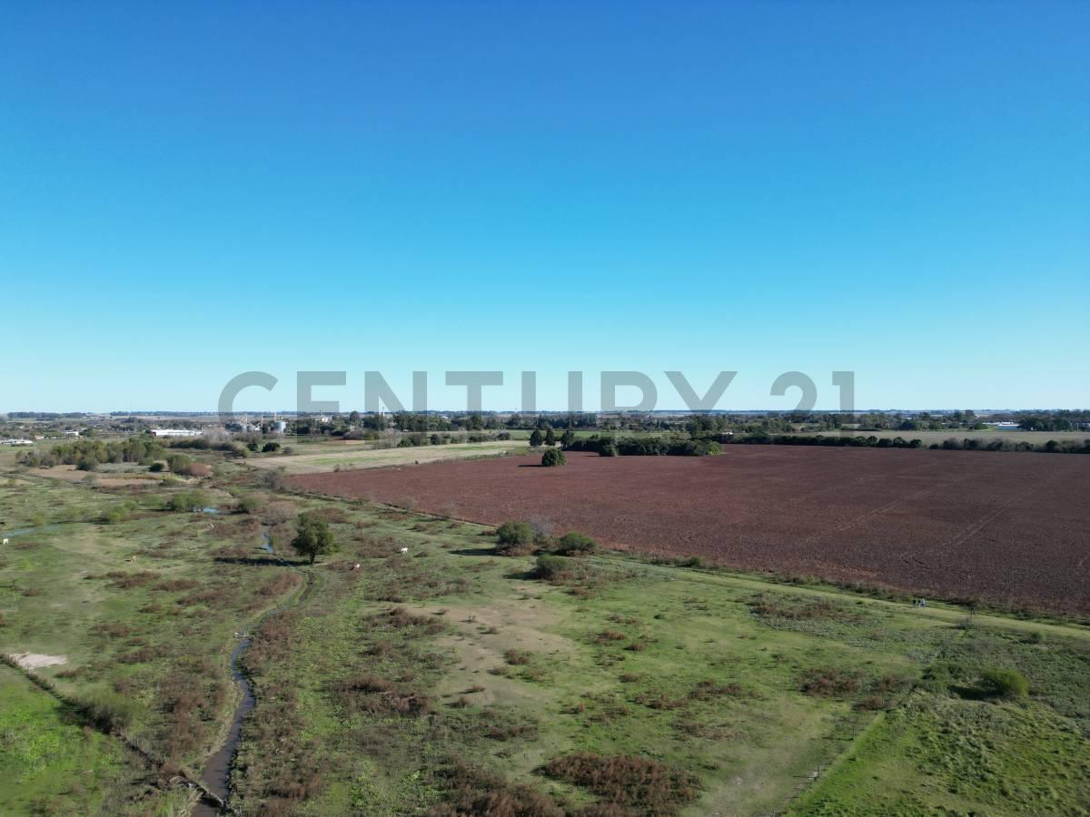 Foto de RUTA 8 Y RUTA 51 CAMPO 37 HA ARRECIFES, BUENOS AIRES, imagen 2