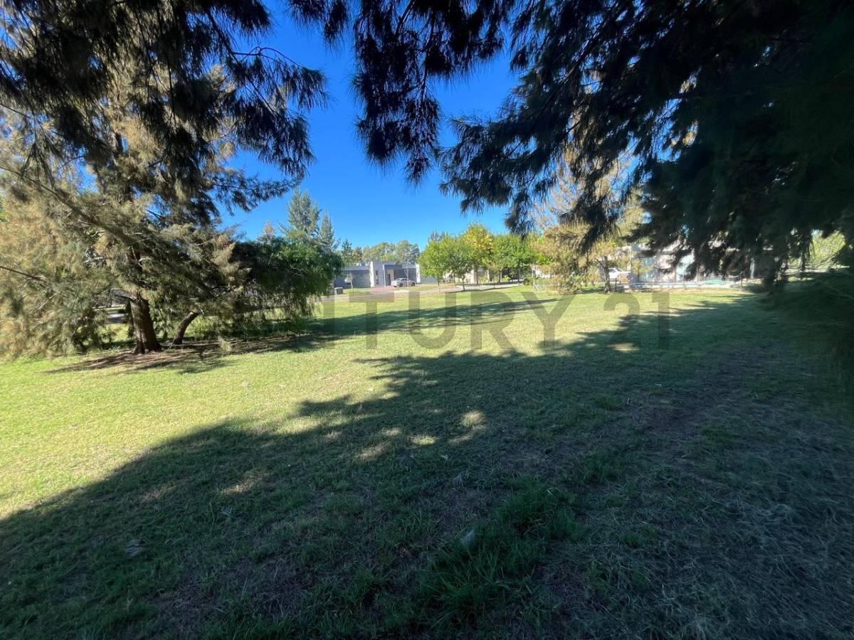 Foto de Lote de Alta Gama en Miralagos ll Entorno de Golf y Spa | Lote 19, imagen 1