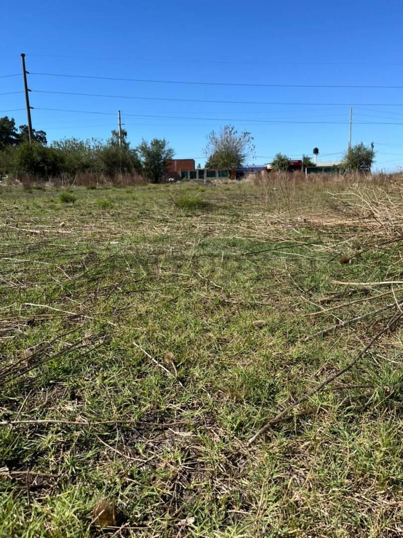 Foto de VENTA DE LOTE EN 179BIS Y 528, imagen 4
