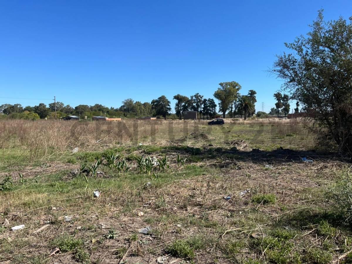 Foto de VENTA DE LOTE EN 179BIS Y 528, imagen 2
