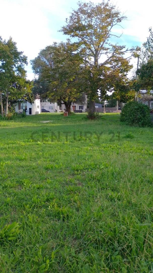 Foto de CALLE 630 Y 135 | VENTA LOTE Barrio Aires de Arana, imagen 2