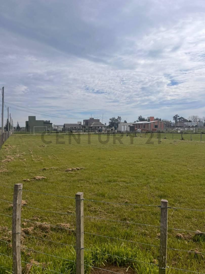 Foto de LOTE EN VENTA EN BRANDSEN, imagen 1