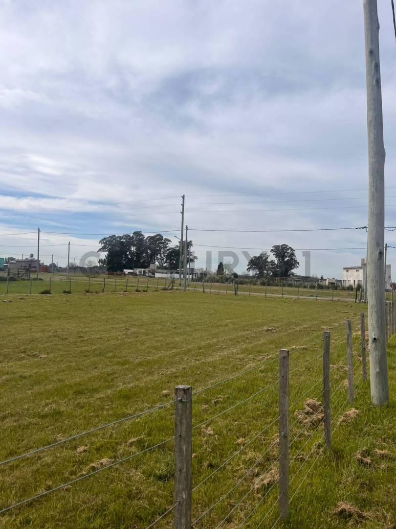 Foto de LOTE EN VENTA EN BRANDSEN, imagen 5