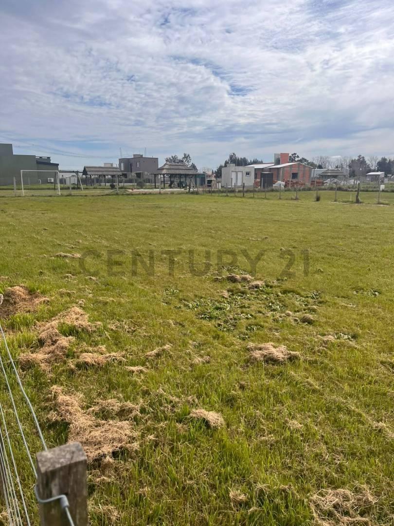 Foto de LOTE EN VENTA EN BRANDSEN, imagen 4
