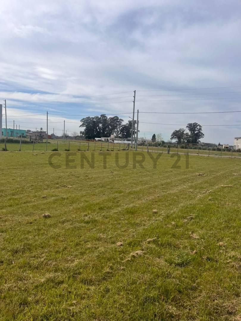 Foto de LOTE EN VENTA EN BRANDSEN, imagen 3