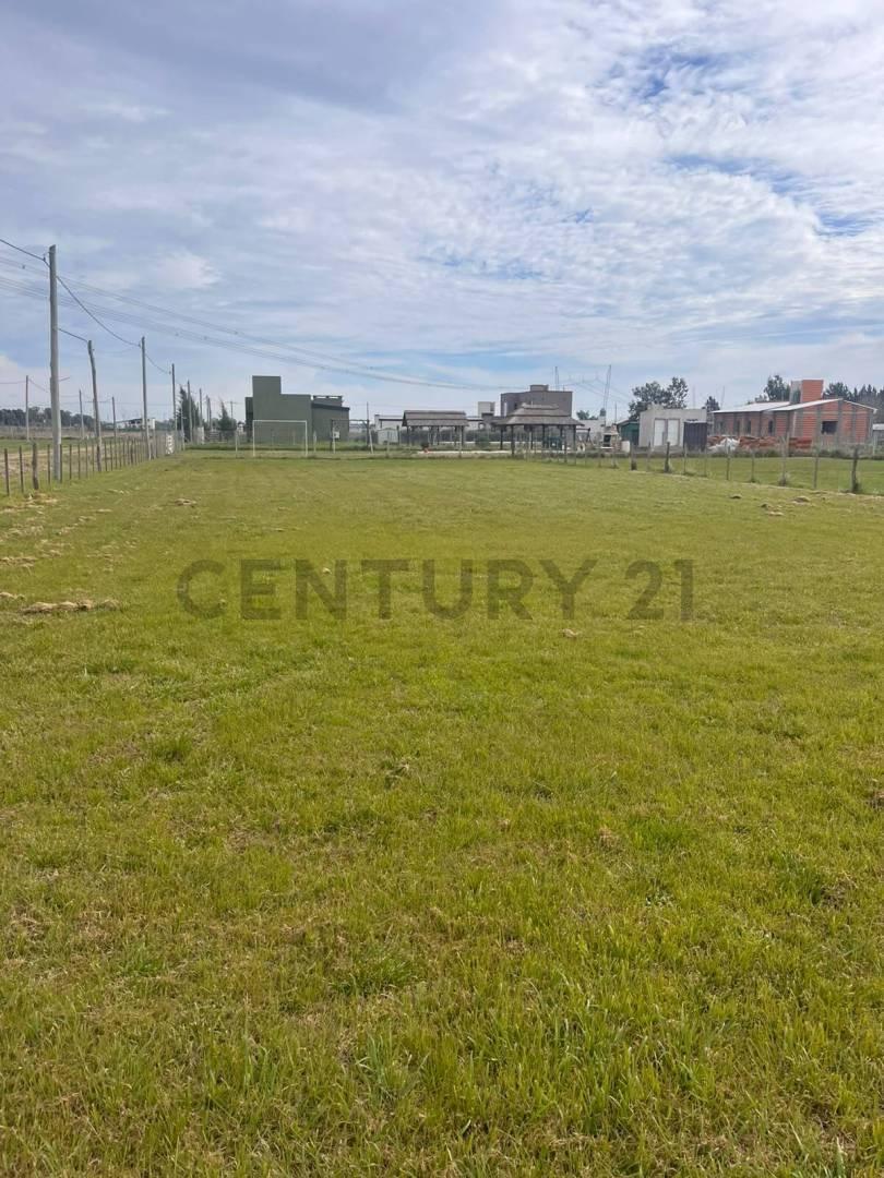 Foto de LOTE EN VENTA EN BRANDSEN, imagen 2