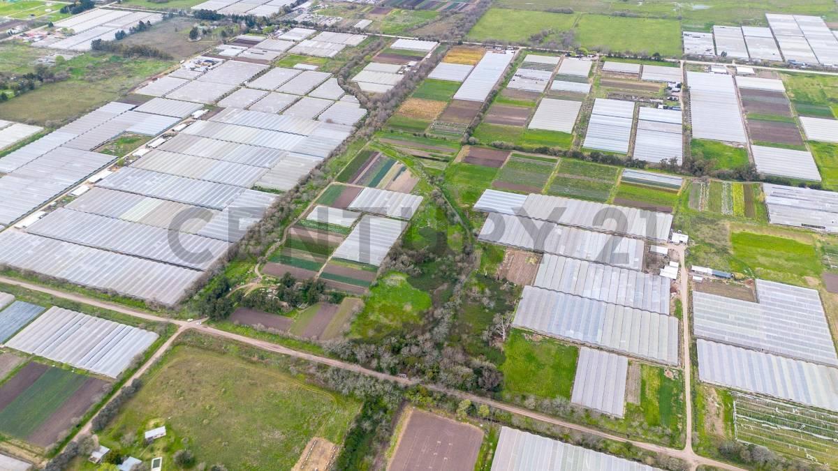 Foto de Venta de 5 hectares agricolas, imagen 4