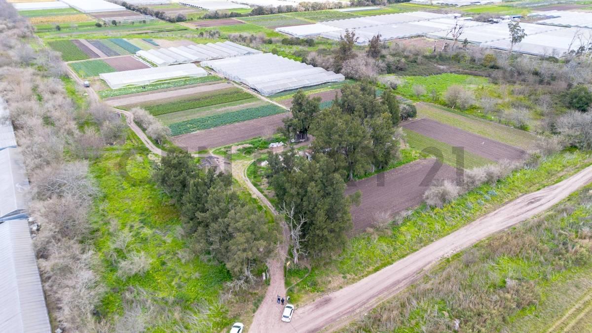 Foto de Venta de 5 hectares agricolas, imagen 3