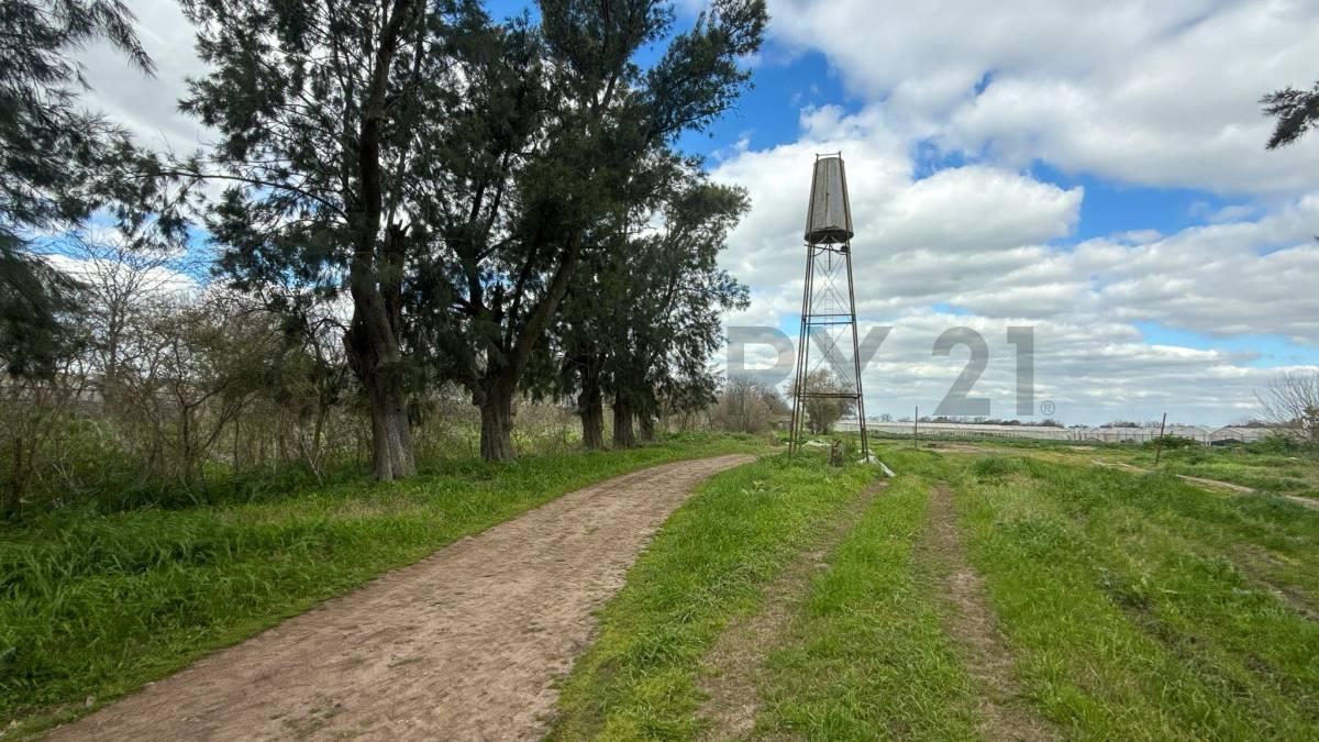 Foto de Venta de 5 hectares agricolas, imagen 1