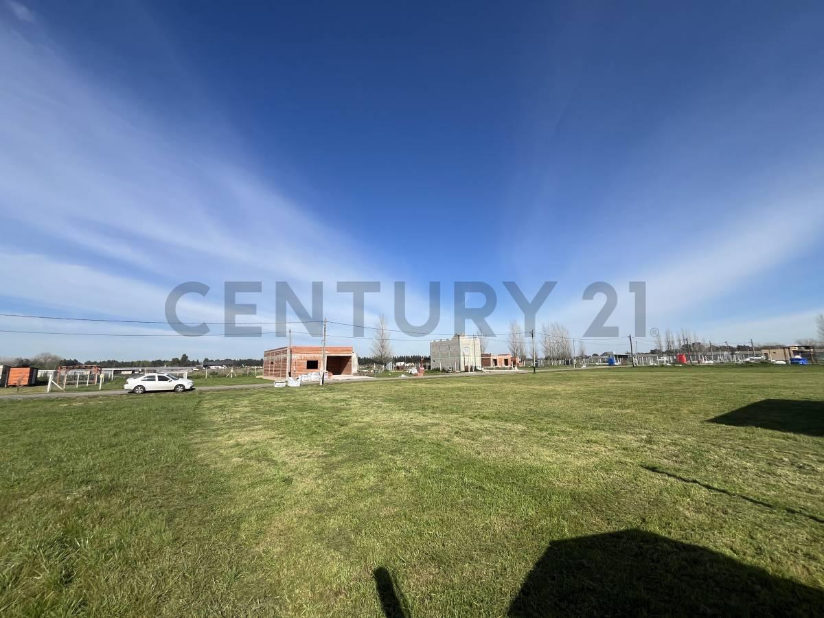 Foto de Lote en venta Barrio San José ETCHEVERRY La Plata, imagen 4