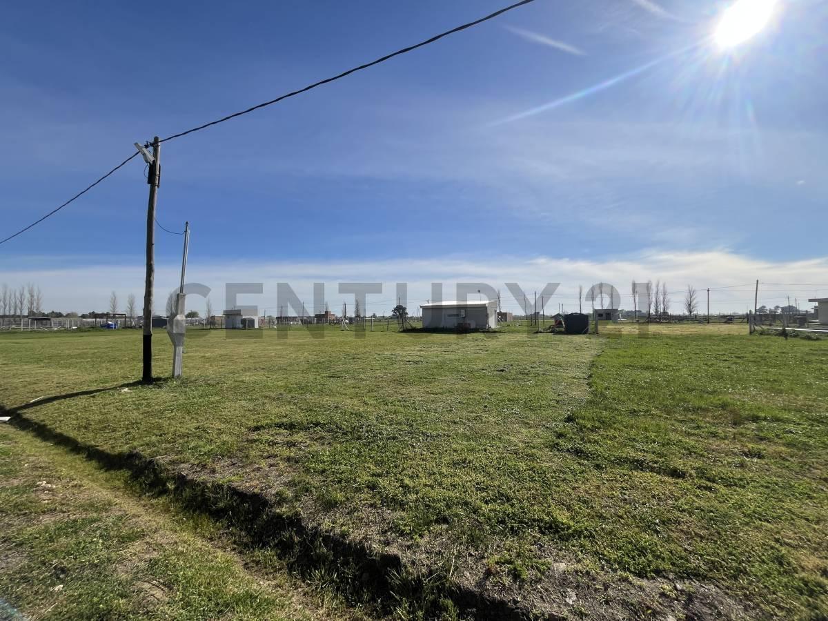 Foto de Lote en venta Barrio San José ETCHEVERRY La Plata, imagen 3