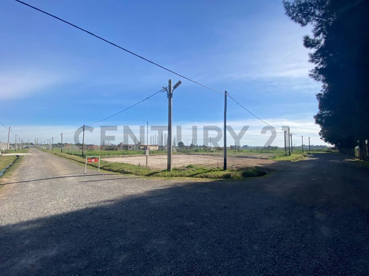 Foto de Lote en venta Barrio San José ETCHEVERRY La Plata, imagen 5