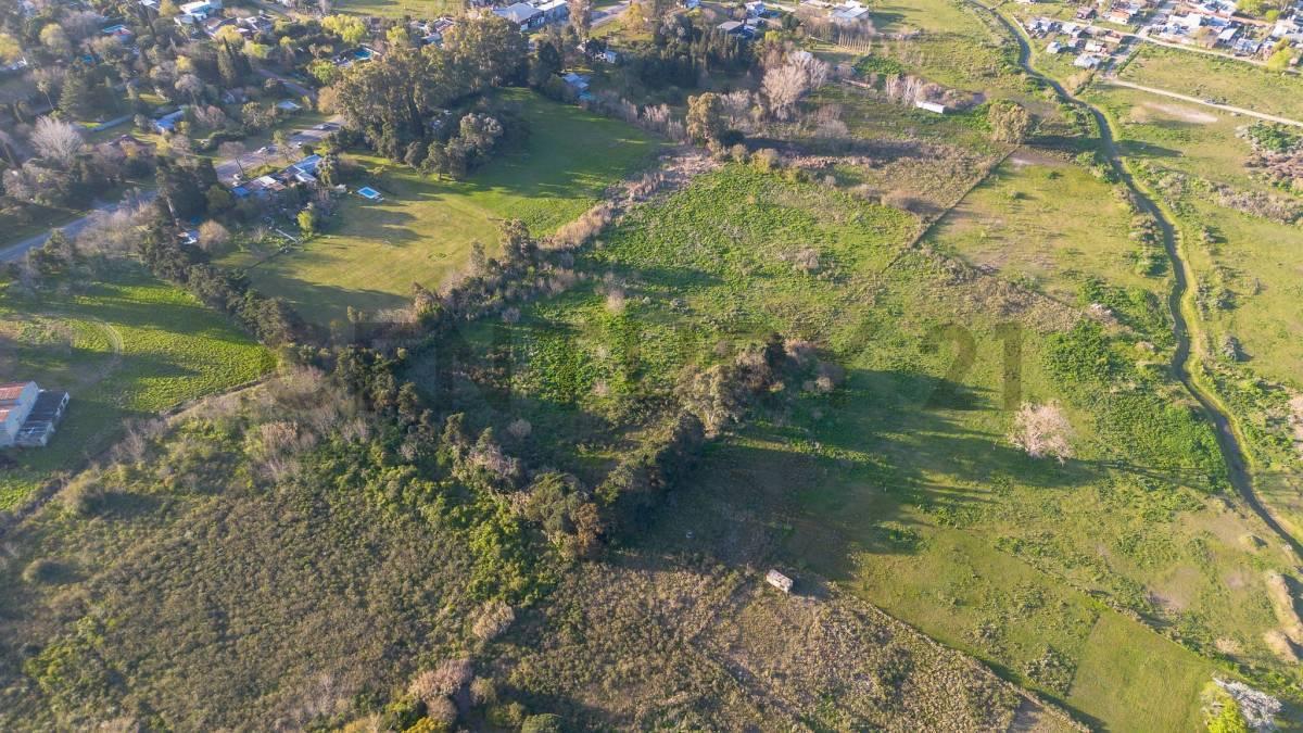 Foto de LOTE EN VENTA EN SICARDI HECTAREA EN VILLA GARIBALDI, imagen 4