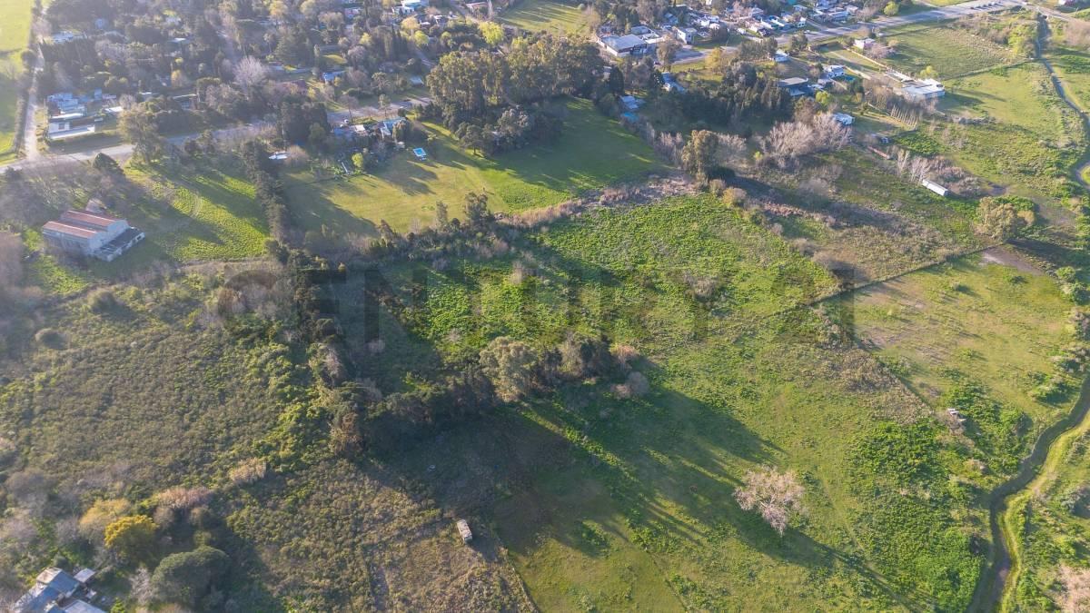 Foto de LOTE EN VENTA EN SICARDI HECTAREA EN VILLA GARIBALDI, imagen 3