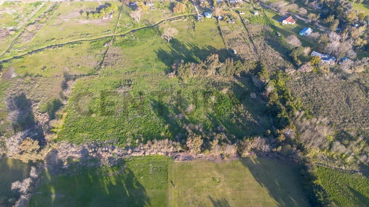 Foto de LOTE EN VENTA EN SICARDI HECTAREA EN VILLA GARIBALDI, imagen 5