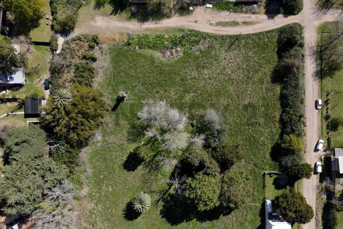 Foto de LOTE EN VENTA VILLA ELISA 330 m2 ZONA RESIDENCIAL 1 CUADRA DE 419 (EX, imagen 4