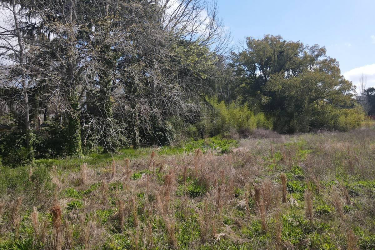 Foto de LOTE EN VENTA VILLA ELISA 330 m2 ZONA RESIDENCIAL 1 CUADRA DE 419 (EX, imagen 5