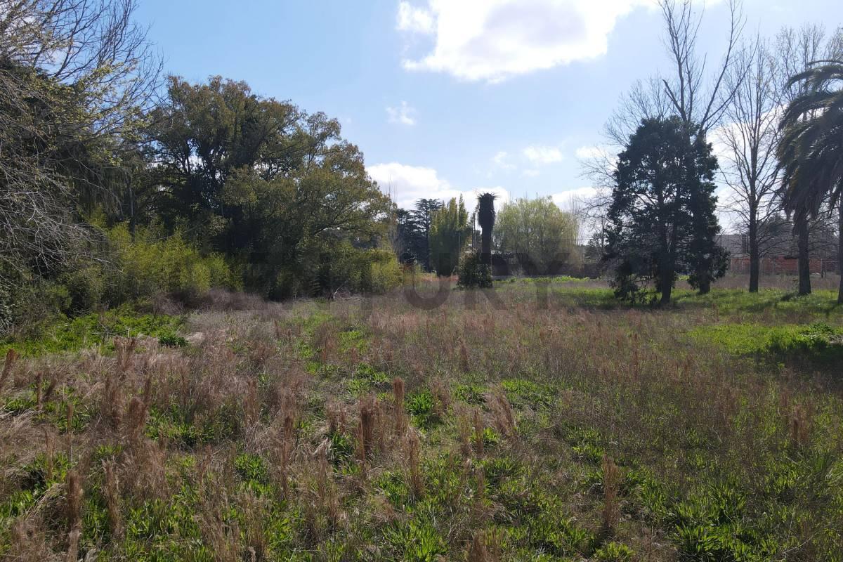 Foto de LOTE EN VENTA VILLA ELISA 330 m2 ZONA RESIDENCIAL 1 CUADRA DE 419 (EX, imagen 1